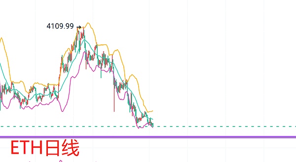 暖心！CoinW币赢这场跨越台湾4城的爱心行动，让3000美元物资温暖流浪毛孩