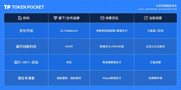 SOL币突破50美元大关：一场迟来的技术性狂欢