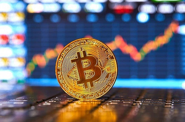当科层制遇到DAO：一场关于组织形态的世纪对话