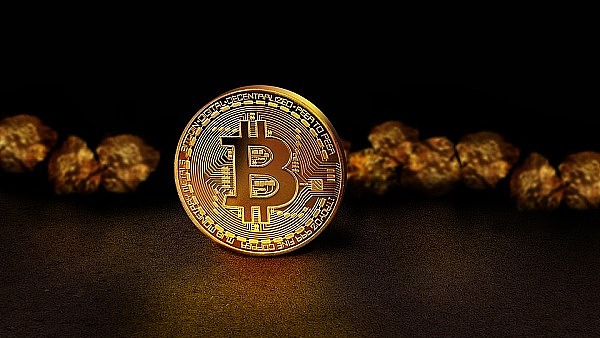 xPet现象：SocialFi新秀的机遇与隐忧